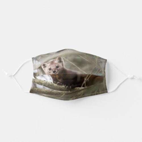 Pine Marten Gaze Adult Cloth Face Mask