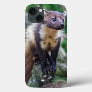 Pine Marten iPad Case