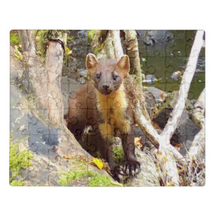 Pine Marten on Log Acrylic Editable Jigsaw Puzzle
