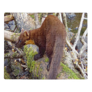 Pine Marten on Log Acrylic Jigsaw Puzzle
