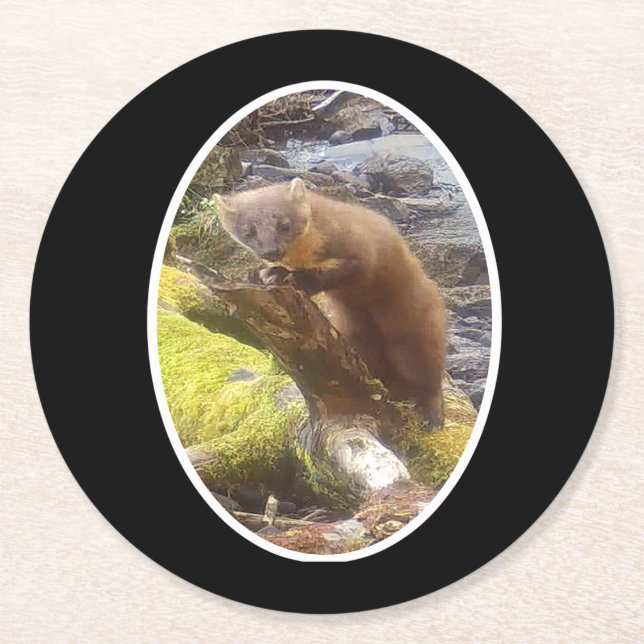 Pine Marten on Log Paper Coaster (Front)