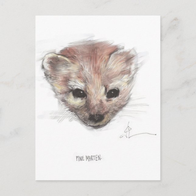 Pine Marten Postcard (Front)