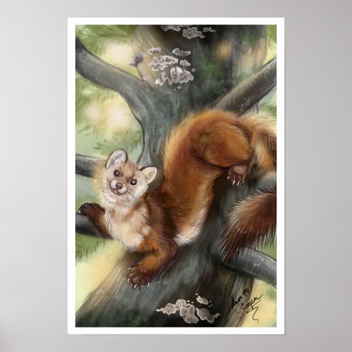 Pine Marten Poster