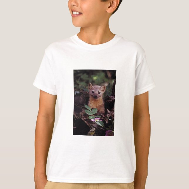 Pine Marten T-Shirt (Front)