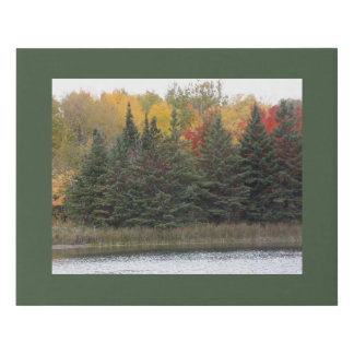 Pine n Fall Color Trees in MN Faux Canvas Print