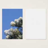 Pine needles (Front & Back)