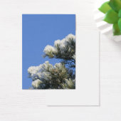 Pine needles (Desk)