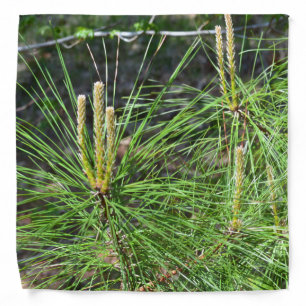 Pine Needles by Kenneth Yoncich Bandana