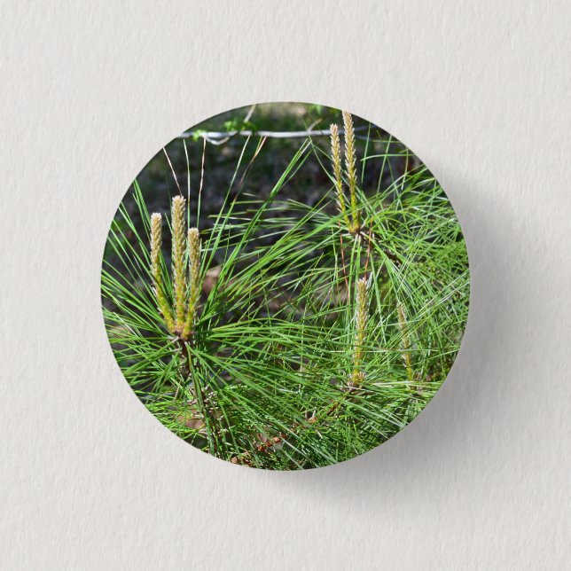 Pine Needles by Kenneth Yoncich Button (Front)