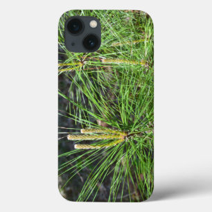 Pine Needles by Kenneth Yoncich iPhone 13 Case