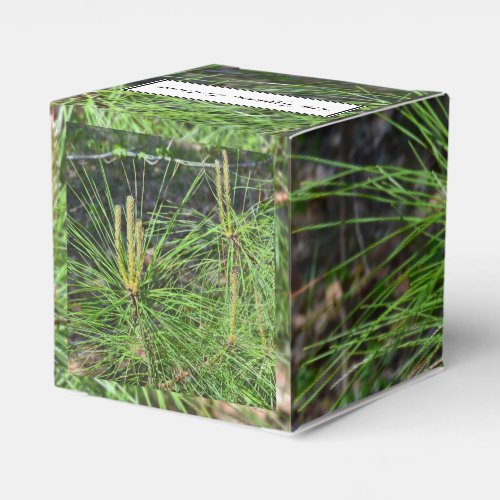 Pine Needles by Kenneth Yoncich Favor Boxes