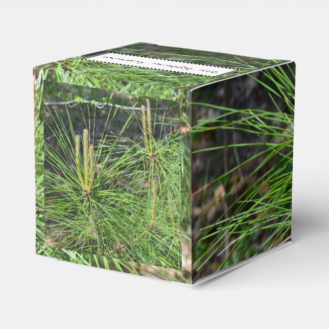 Pine Needles by Kenneth Yoncich Favor Boxes (Back Side)