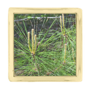 Pine Needles by Kenneth Yoncich Gold Finish Lapel Pin
