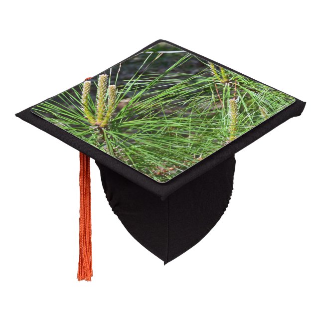 Pine Needles by Kenneth Yoncich Graduation Cap Topper (Angled)