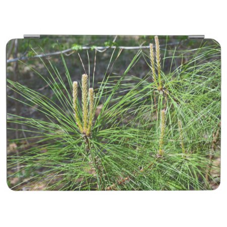 Pine Needles By Kenneth Yoncich Ipad Air Cover