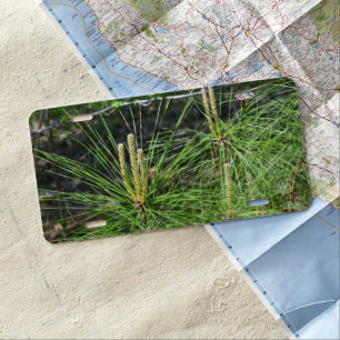 Pine Needles by Kenneth Yoncich License Plate