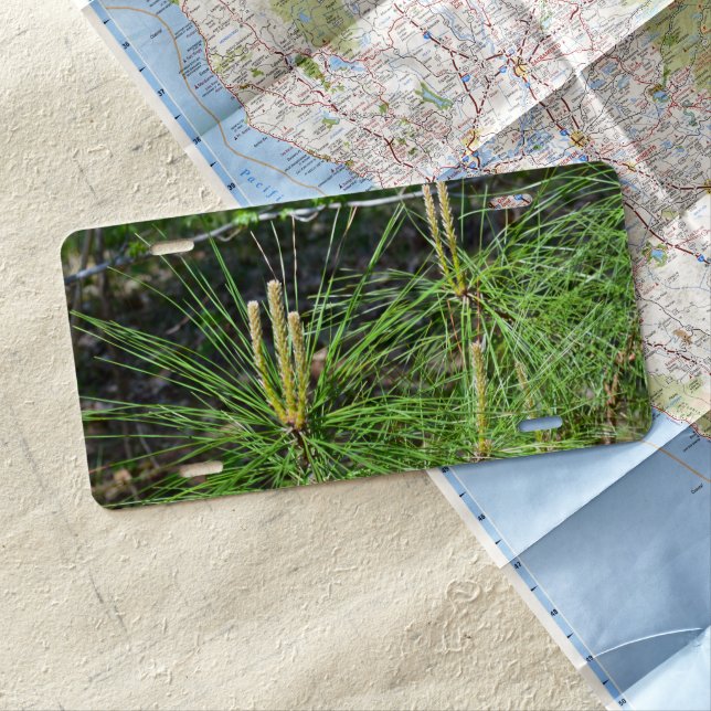 Pine Needles by Kenneth Yoncich License Plate (In Situ)