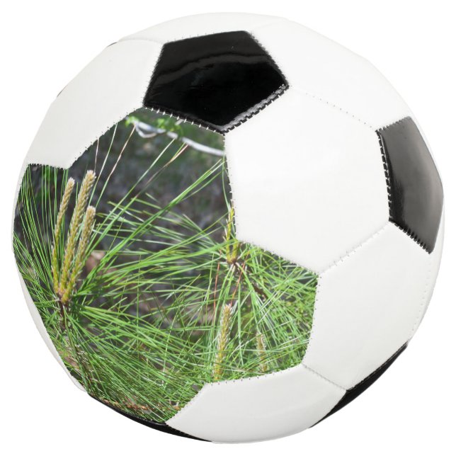 Pine Needles by Kenneth Yoncich Soccer Ball (Three Quarter)