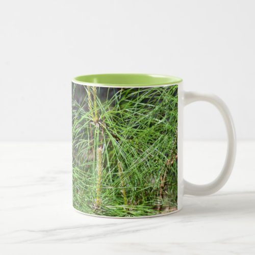 Pine Needles by Kenneth Yoncich Two_Tone Coffee Mug