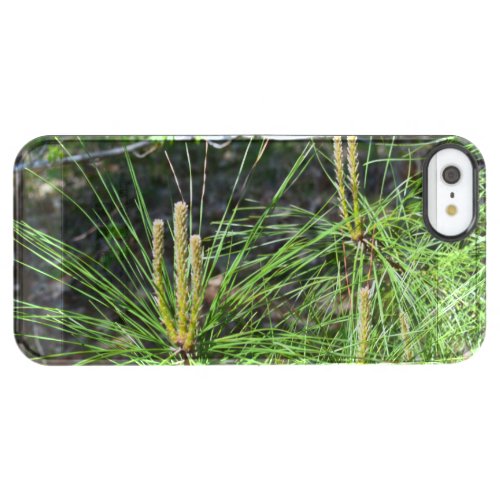 Pine Needles by Kenneth Yoncich Clear iPhone SE55s Case