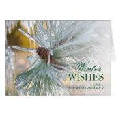 Pine needles Encased in Ice (Front Horizontal)