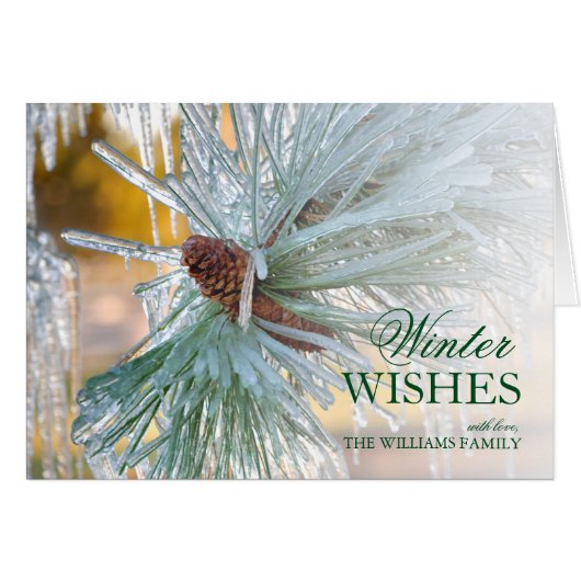 Pine needles Encased in Ice Cards (Front Horizontal)