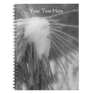 Pine Needles In Snow And Ice Nature Notebook
