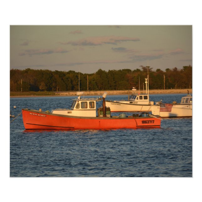 Pine Point  24" x 20" Photo Enlargement Print (Front)