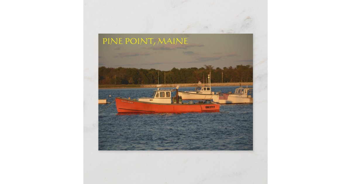 Pine Point, Maine Postcard Zazzle