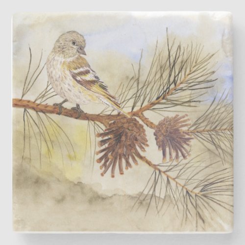 Pine Siskin Coaster