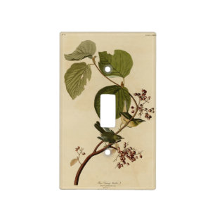 Pine Swamp Warbler from Audubon's Birds of America Light Switch Cover