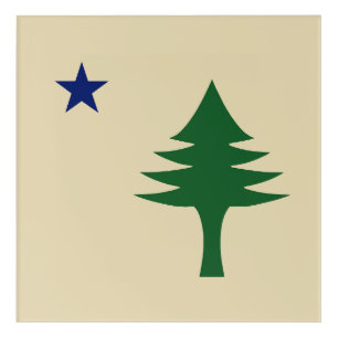 Pine tree and star 1901 flag of Maine State Acrylic Print