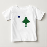 Pine tree and star 1901 flag of Maine State