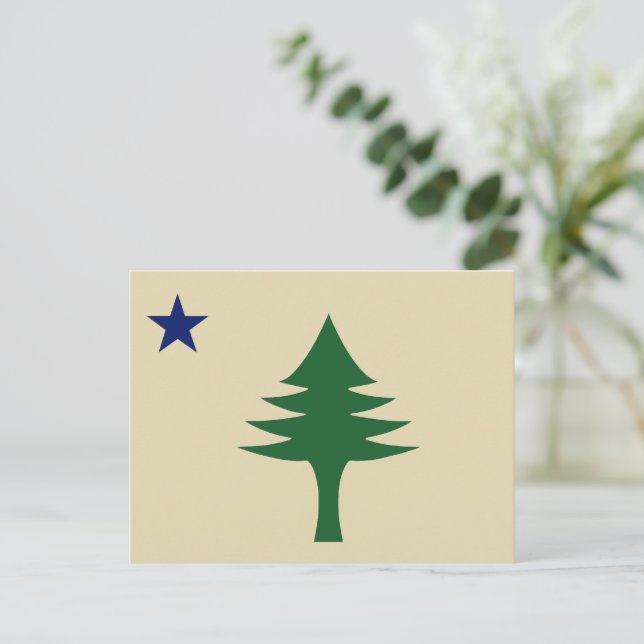 Pine tree and star 1901 flag of Maine State Postcard (Standing Front)