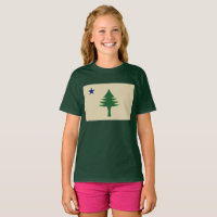 Pine tree and star 1901 flag of Maine State