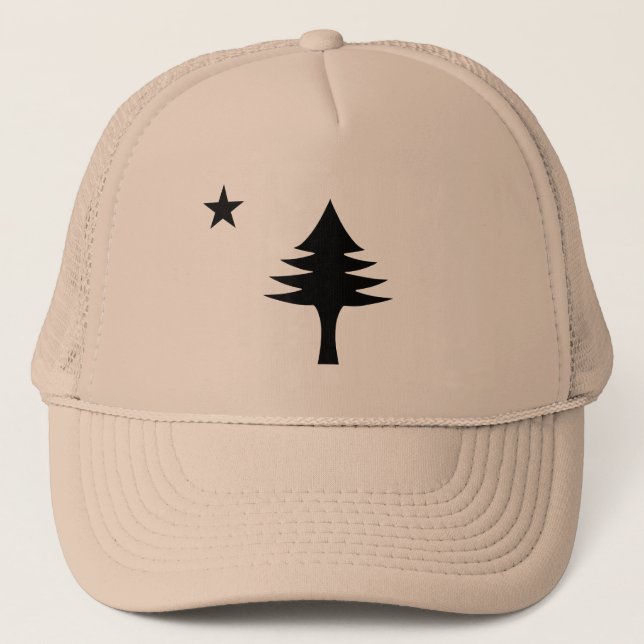 Pine tree and star 1901 flag of Maine State Trucker Hat (Front)