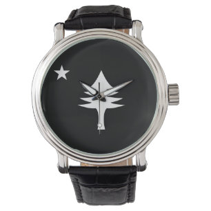 Pine tree and star 1901 flag of Maine State Watch