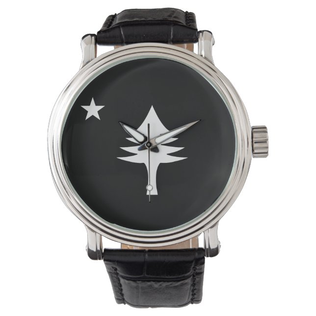 Pine tree and star 1901 flag of Maine State Watch (Front)