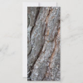 pine tree bark (Back)