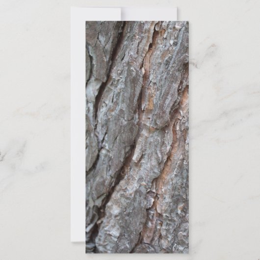 pine tree bark (Back)