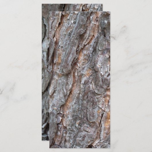 pine tree bark (Front/Back)