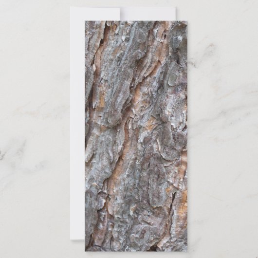 pine tree bark (Front)