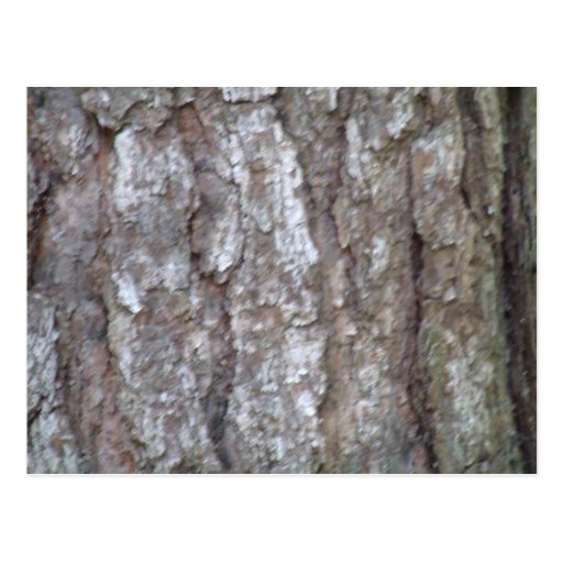 Pine Tree Bark Camo Natural Wood Camouflage Nature Postcard | Zazzle