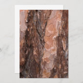 Pine tree bark texture (Front/Back)