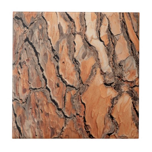 Pine Tree Bark Texture Ceramic Tile
