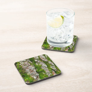 Pine Tree Bark With Moss Beverage Coaster