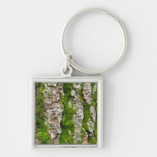 Pine Tree Bark With Moss Keychain