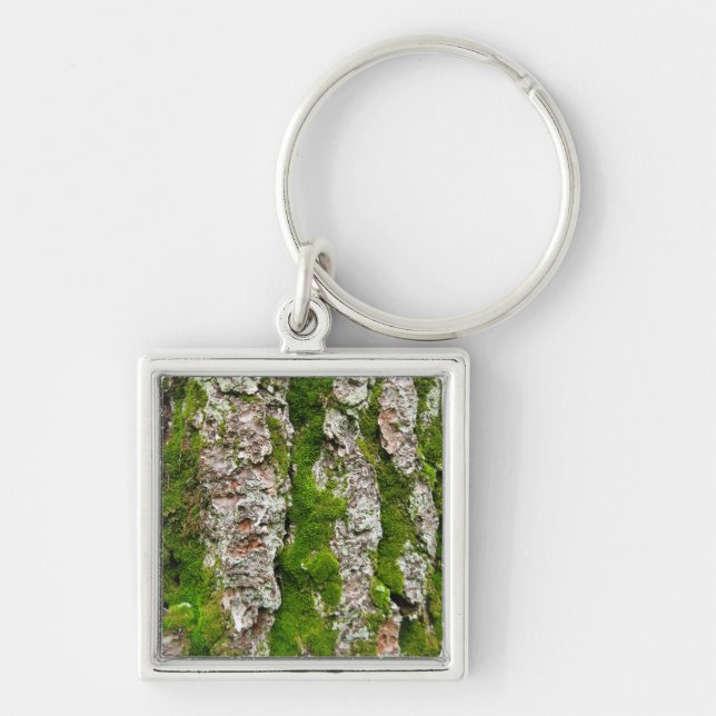 Pine Tree Bark With Moss Keychain (Front)