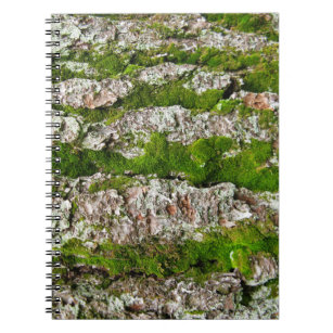 Pine Tree Bark With Moss Notebook