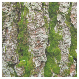 Pine Tree Bark With Moss Photo Fabric